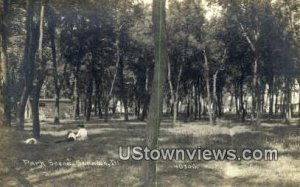 Real Photo - Park Scene - Strawn, Illinois IL