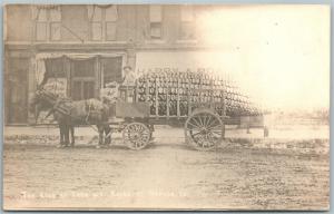 NEVADA IA EXAGGERATED CORN 1910s ANTIQUE REAL PHOTO POSTCARD RPPC