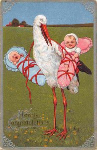 Stork Brings Two Babies Birth Announcement Congratulations 1911 postcard