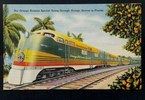 Mint The Orange Grove Special Going Through Orange Groves in Florida Postcard