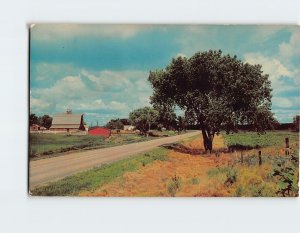Postcard A Colorful Cattle Ranch On A Modern Highway USA