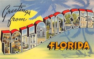 Greetings from Tallahassee, FL, USA Florida