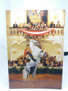 Rearing White Horse at Spanish Riding School Uniformed Vienna Rider VTG Postcard