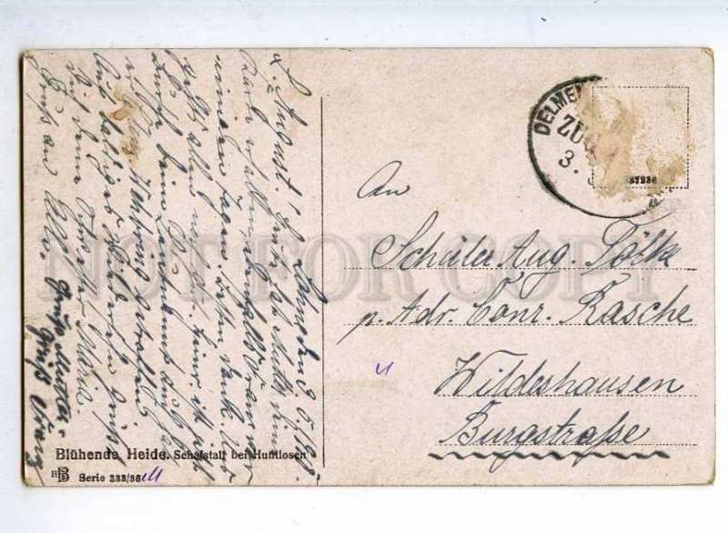 241294 GERMANY BLUHENDE HEIDE Vintage postcard
