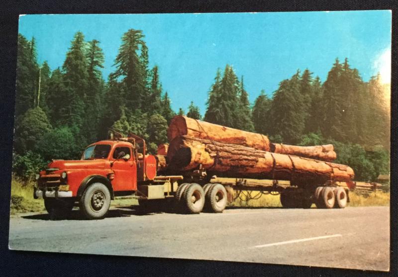 Lumbering Truck & Trees In the West US Unused Postcard LB