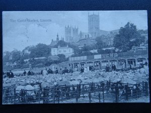 Lincoln THE CATTLE MARKET - SHEEP shows sign NELSON & SONS c1909 Postcard