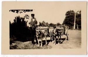 RPPC - Two Dog Drawn Carts