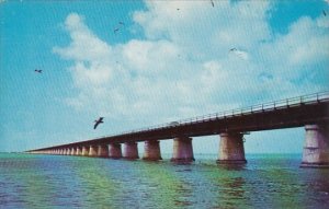 Seven Mile Bridge On the Overseas Highway To Key West Florida