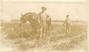 c1910 Farming Agriculture Horse Drawn Plow Furrow RPPC Real Photo