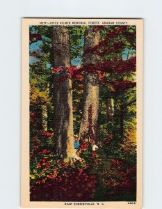 Postcard Joyce Kilmer Memorial Forest, Robbinsville, North Carolina