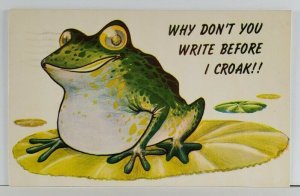 Frog Why Don't You Write Before I Croak 1960 OC NJ to York Pa Postcard Q6