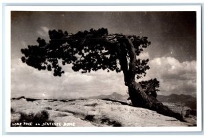 Lone Pine On Sentinel Doms Tree Yosemite National Park CA RPPC Photo Postcard