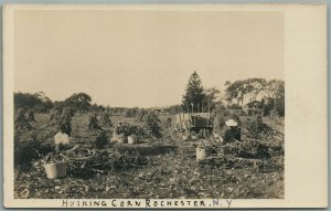 ROCHESTER NY HUSKING CORN ANTIQUE REAL PHOTO POSTCARD RPPC