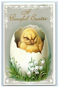 c.1910 Easter Chick In Egg Lily Of The Valley Vintage Postcard F50