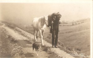A Lakeland shepherd with his white horse and dog Old vintage English PC