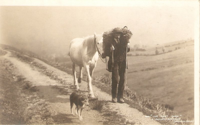 A Lakeland shepherd with his white horse and dog Old vintage English PC