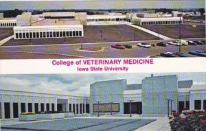 Iowa Ames College Of Veterinary Medicine Iowa State University