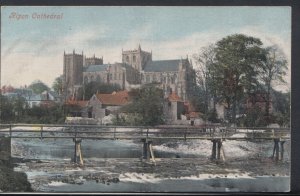 Yorkshire Postcard - Ripon Cathedral  DC1655