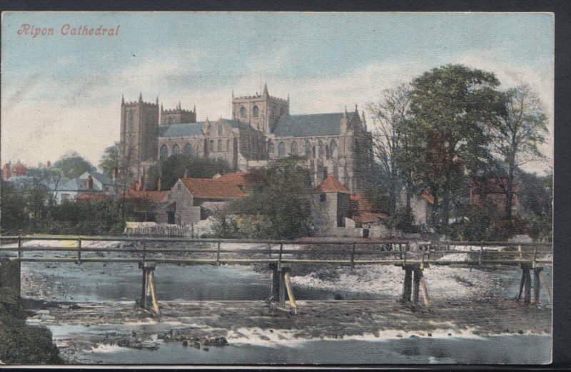 Yorkshire Postcard - Ripon Cathedral  DC1655