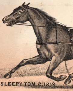 1870s Clay & Richmond Harness Sulky Race Sleepy Tom F151