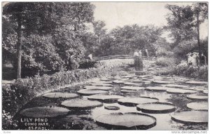 Lily Pond, Como Park, St. Paul, Minnesota, PU-1908