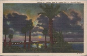 Postcard Moonlight Corpus Christi Bay Corpus Christi Texas TX