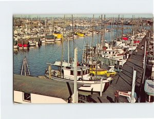 Postcard View at Fishermens Terminal Port Of Seattle Washington USA