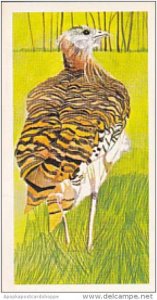 Brooke Bond Vintage Trade Card Vanishing Wildlife 1978 No 7 Great Bustard