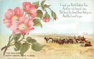 Postcard North Dakota State Flower horses #6030 C-1910 23-8890