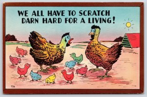 Hen And The Chicks Scratch Darn Hard Foods For A Living Comic Postcard