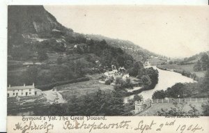 Herefordshire Postcard - Symond's Yat - The Great Doward    U510