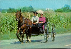 The Amish Courting Buggy