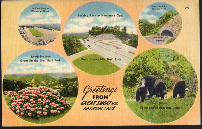 Tennessee Great Smoky Mountains National Park MultiView Greetings From - LINEN