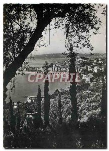 Postcard Moderne Menton View taken of Colombieres