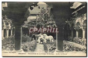 Old Postcard Dogs Dog Bergerac Mounet Sully in his castle Garrigue Garden of ...