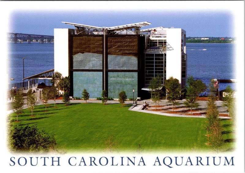 2~4X6 Postcards SC Charleston Harbor SOUTH CAROLINA AQUARIUM & OCEAN TANK~DIVERS