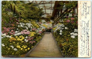 Chrysanthemum Display, Horticultural Hall, Fairmount Park, Philadelphia, PA 