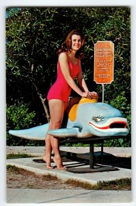 Weeki Wachee Florida Postcard Swimsuit Mermaid Retired Adolph Dolphin Chrome