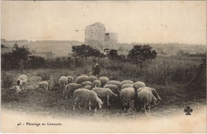 CPA Paturage en Limousin (122373)