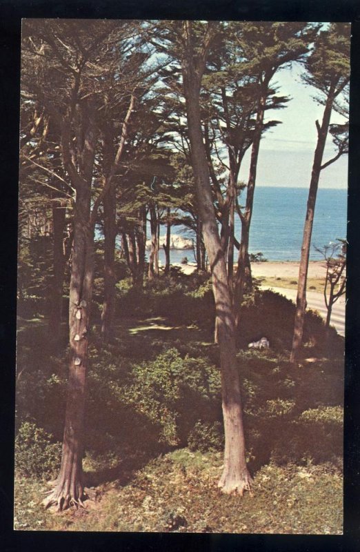 San Francisco, California/CA Postcard, View Of Seal Rock Inn