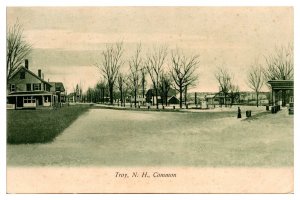 1907 Troy Common, Early Street Scene, Undivided Back, NH Postcard