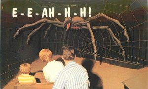 Postcard Arizona Phoenix Tempe Legend Big Scary Spider 1960s All Tom 23-1481