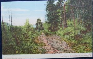 Autumn In The Delaware Water Gap PA 