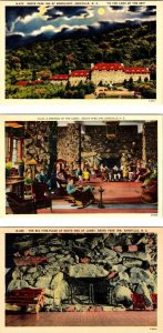 3~ca1940's Postcards ASHEVILLE, NC North Carolina GROVE PARK INN Lobby~Fireplace