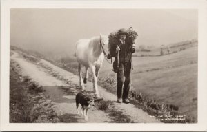 The Cast Shoe Lakeland Shepherd White Horse Dog England Cumbria RP Postcard H44