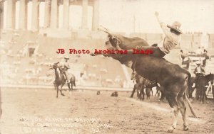 IL, Chicago, Illinois, RPPC, Tex Austin Rodeo, Cowboy Clyde Kline Riding Bull