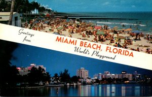Florida Greetings From Miami Beach