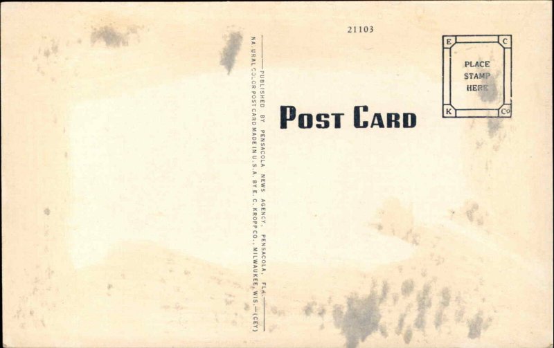 Pensacola Florida FL Birdseye View c1930s-40s Postcard