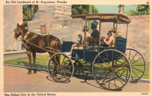 Vintage Postcard Old Carriage Before The Age Of Motors Of St. Augustine Florida