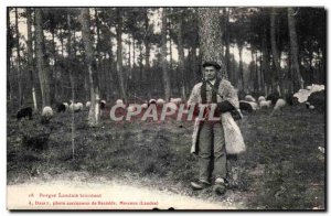 Old Postcard Berger Landes Folklore Costume